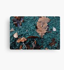 puddle in autumnous forest Leinwanddruck