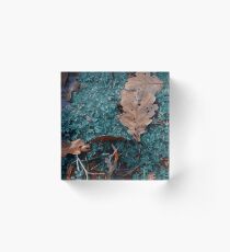 puddle in autumnous forest Acrylblock