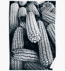 maize black and white Poster