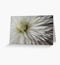 Whiteness Greeting Card