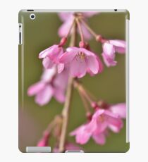 spring blossoms iPad Case/Skin