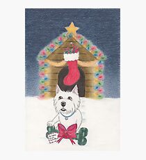 A Gift From Santa Paws Photographic Print