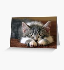 Sleeping Beauty Greeting Card