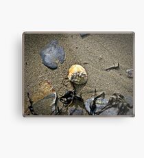 The Sea Shore. Metal Print