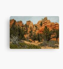 Red Canyon Morning Canvas Print