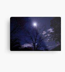 Moony Metal Print