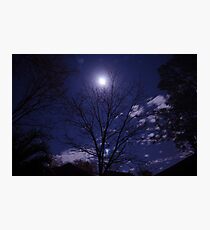 Moony Photographic Print