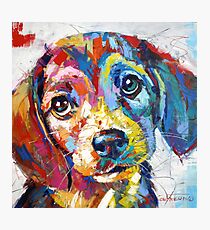 Beagle Photographic Print