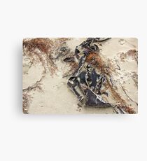 sea sculptures Canvas Print