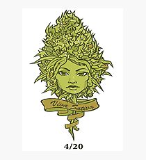 VIVA SATIVA Photographic Print