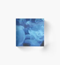 Blue Jellyfish Acrylic Block