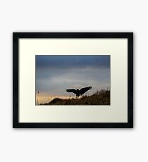 Crow Framed Print