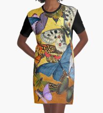 butterflies Graphic T-Shirt Dress