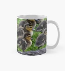 In Mums Shadow Mug