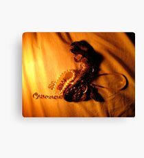 Opulent Canvas Print