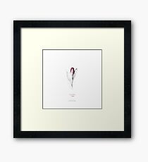 Tulipan Framed Print