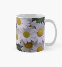 Margeritengänseblümchen (Argyranthemum) Tasse (Standard)