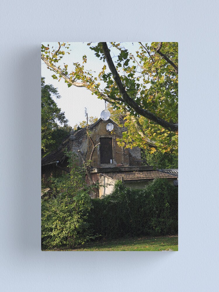 Alternate view of Contradiction Canvas Print