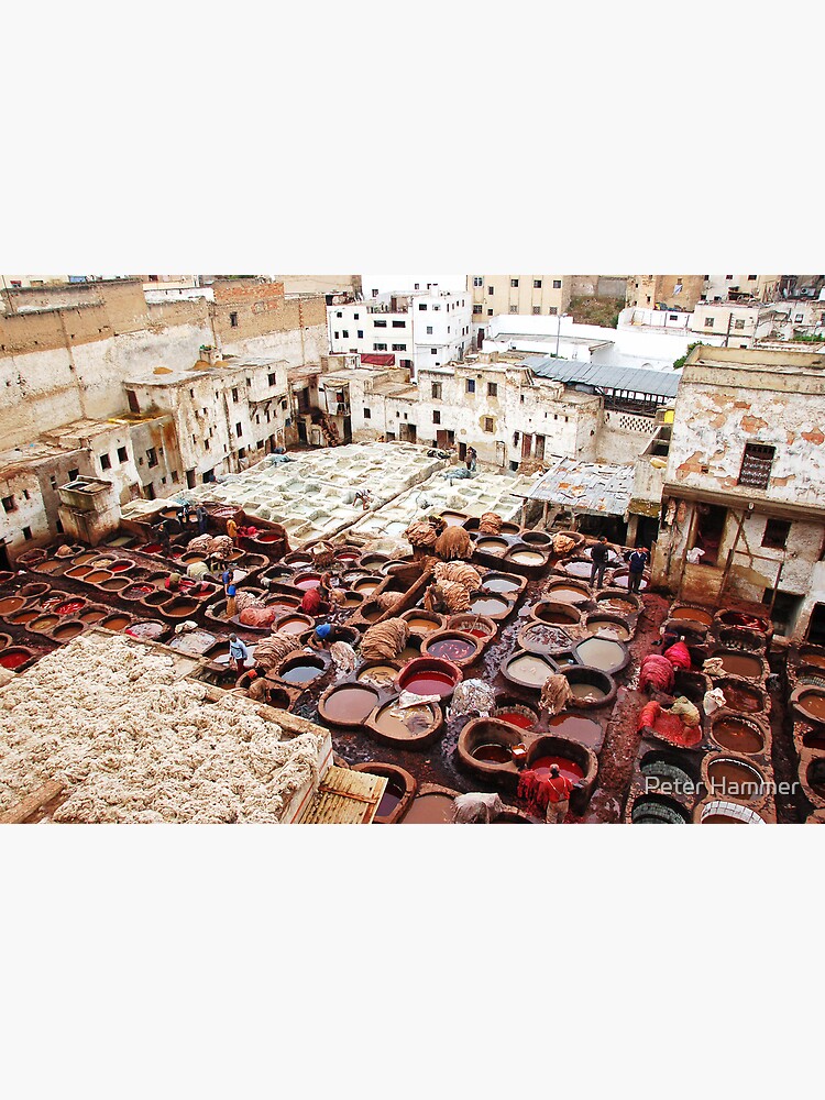 A tannery in Fes by PeterH