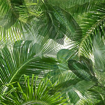 Tropical Jungle Forest Shower Curtain Green Palms Leaves Colorful