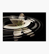 Water lily Photographic Print