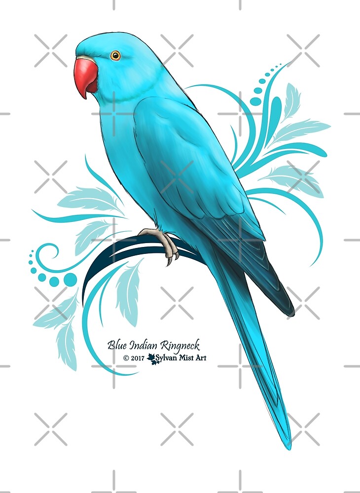 "Blue Indian Ringneck Parrot" by sylvanmist | Redbubble
