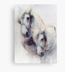 The Boys (harness work horses) Canvas Print