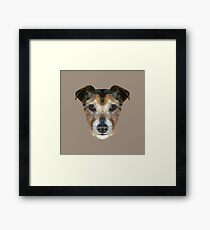 The Jack Russell Framed Print