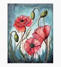 Poppy Flower Painting Photographic Print