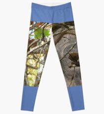 Through the keyhole Leggings