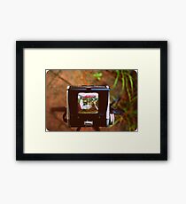 Through the Viewfinder Framed Print