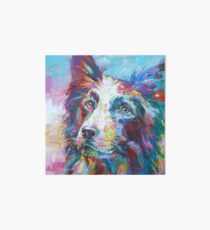 Border Collie Art Board