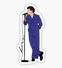 Harry Styles - Kiwi-Haltung Sticker