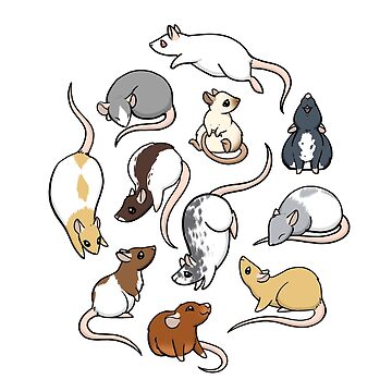 Artwork thumbnail, Rats by bgolins