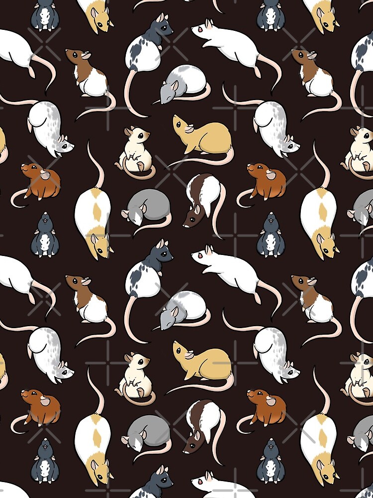 Rats by bgolins