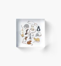 Rats Acrylic Block