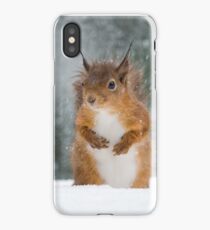 Red Squirrel in the Snow iPhone Case