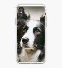 Working Border Collie iPhone Case