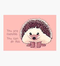 "You Are Capable" Hedgehog Photographic Print