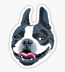 Bailey Sticker