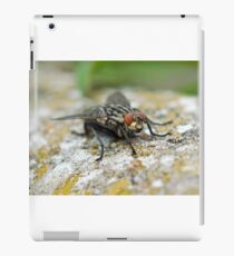 Macro Fly iPad Case/Skin
