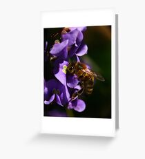 Hardenbergia - Happy Wanderer Greeting Card