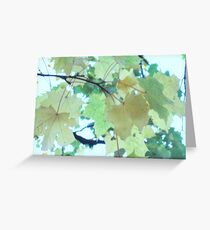 In The Green Greeting Card