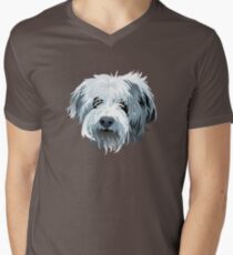 Beau Men's V-Neck T-Shirt