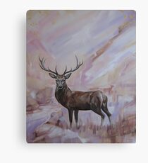Highland Stag Canvas Print