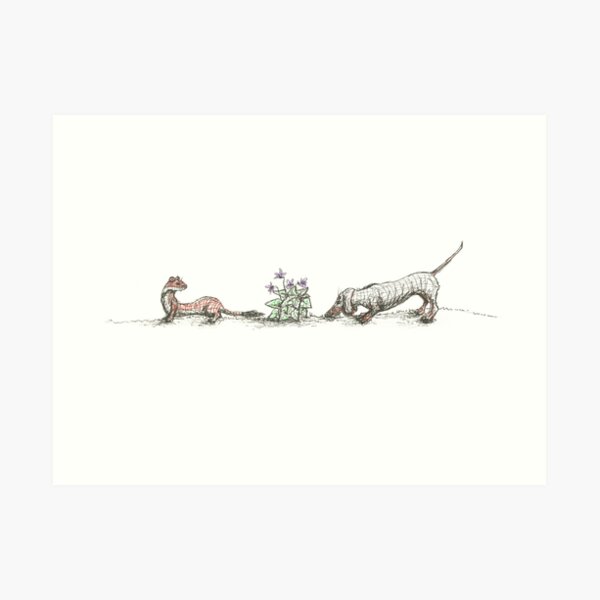Dachshund, Weasel, and Violets, illustration Art Print