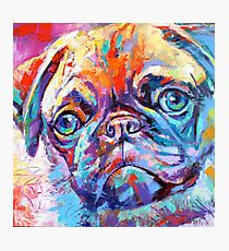 Pug in vibrant colours Photographic Print