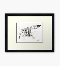 Charcoal Hare Framed Print
