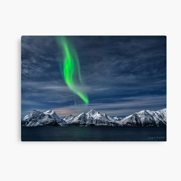 Aurora Canvas Print