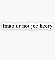 lmao ur not joe keery Sticker